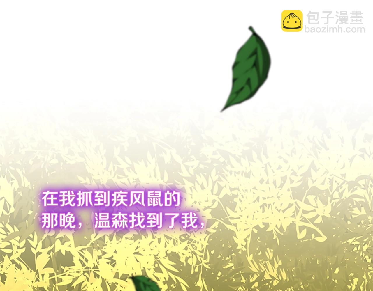 🍱三岁开始做王者 第5季第156话 银豹 第38页