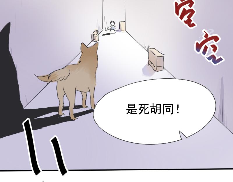 18.梧桐（三）-第16话