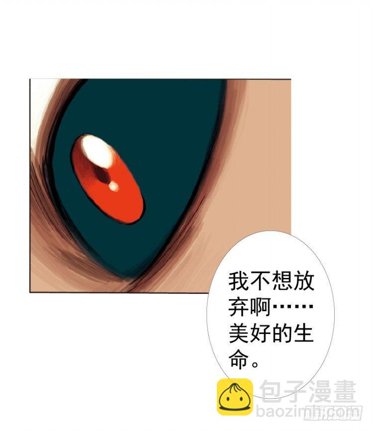 第312话：终结者（上）(1/2)-第364话