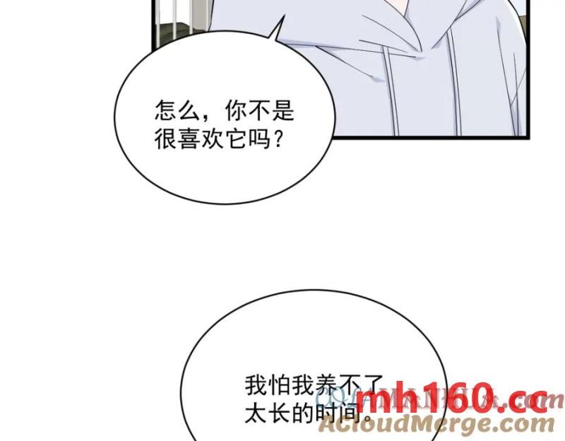 第184话 暴风雨前的宁静(1/2)-第184话