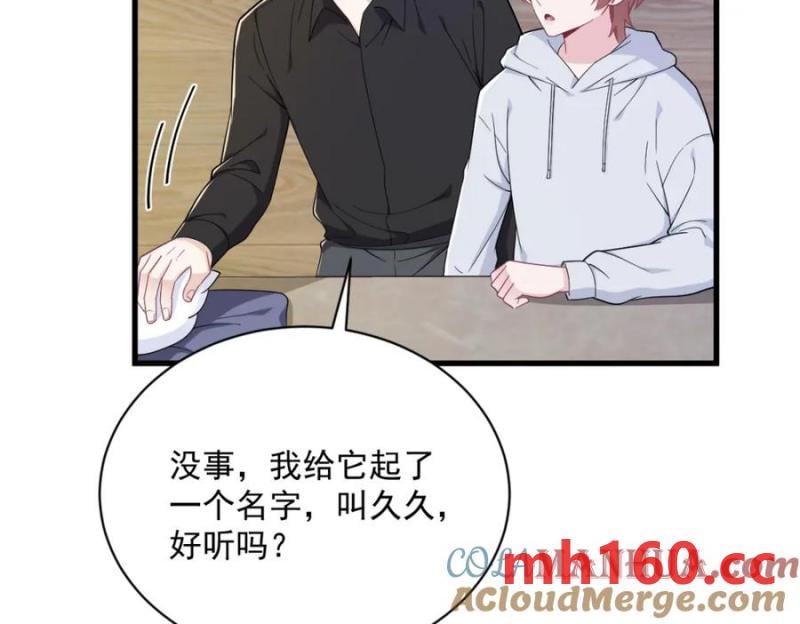 第184话 暴风雨前的宁静(1/2)-第184话