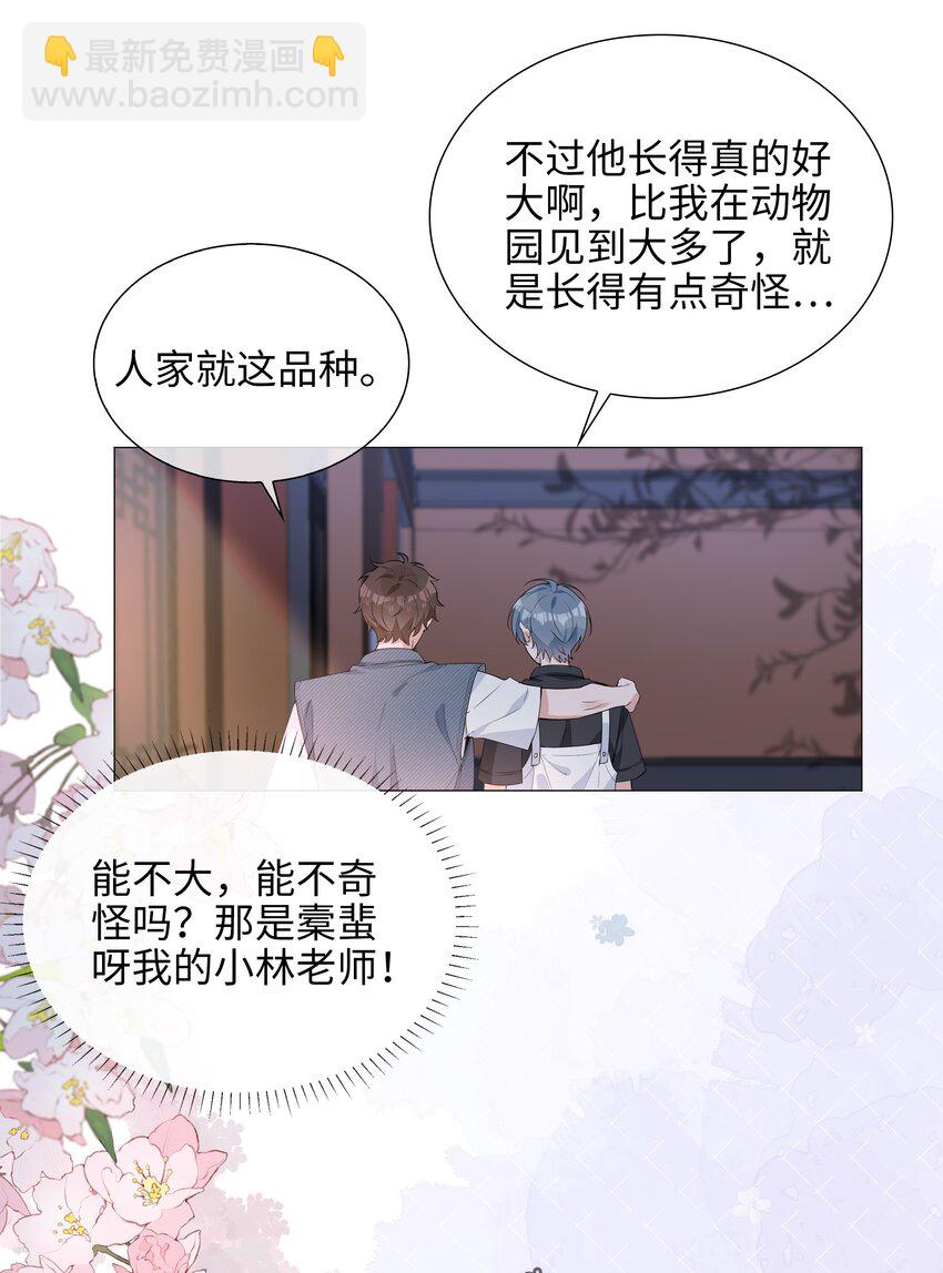 024 爱情的秘密-第24话