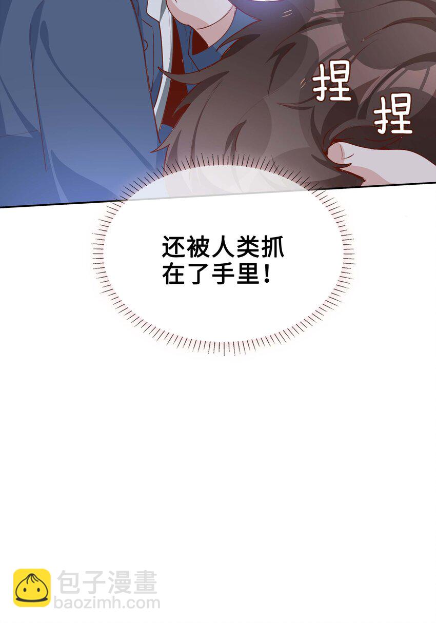 058 变出尾巴了！(1/2)-第58话