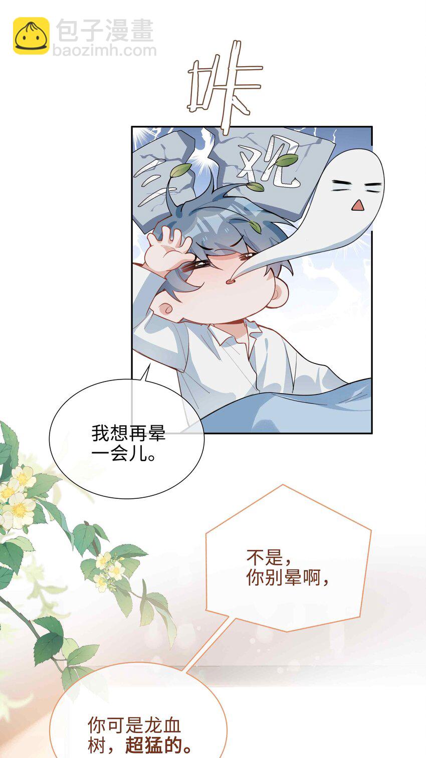 第94话 你是超猛的龙血树！-第94话