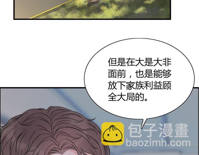 🍱闪婚总裁契约妻 第174话 庞大的家族 第26页
