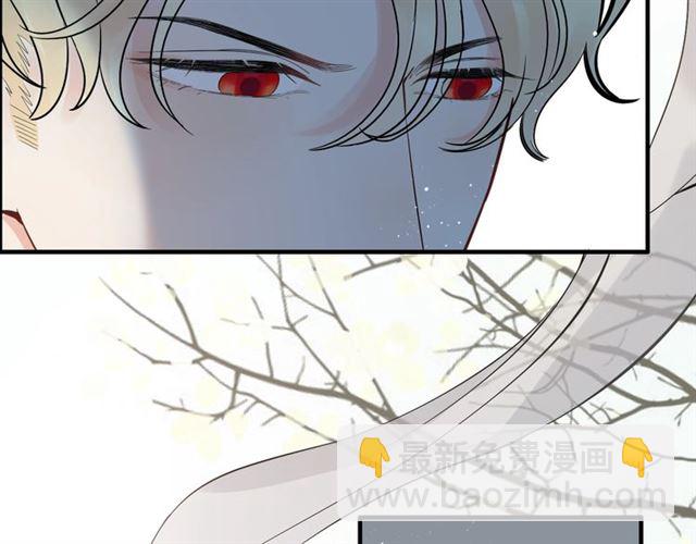 🍱闪婚总裁契约妻 第214话 为了她我愿意做一切 第14页