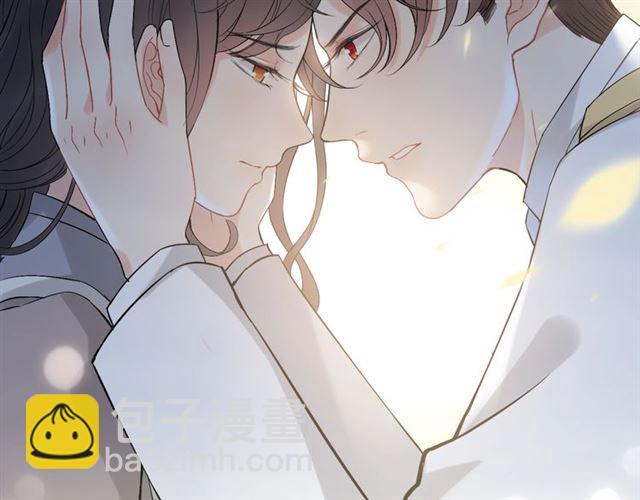 🍱闪婚总裁契约妻 第220话 小野猫我们回家了 第13页