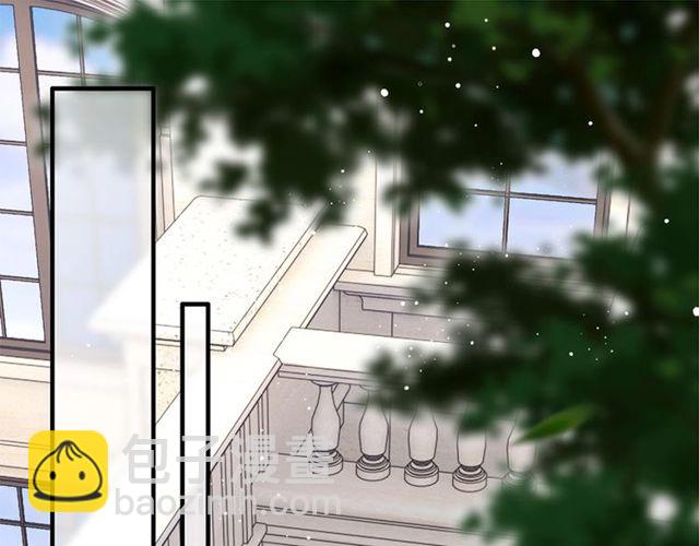 🍱闪婚总裁契约妻 第224话 最大的变数 第4页
