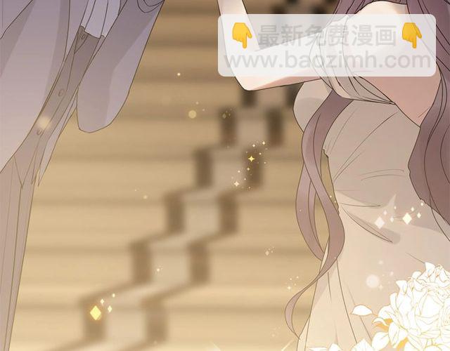 🍱闪婚总裁契约妻 第226话 一切都在计划中 第13页