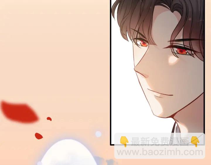 🍱闪婚总裁契约妻 第322话 她是这个庄园的女主 第19页