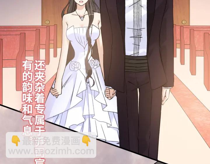 🍱闪婚总裁契约妻 第322话 她是这个庄园的女主 第28页