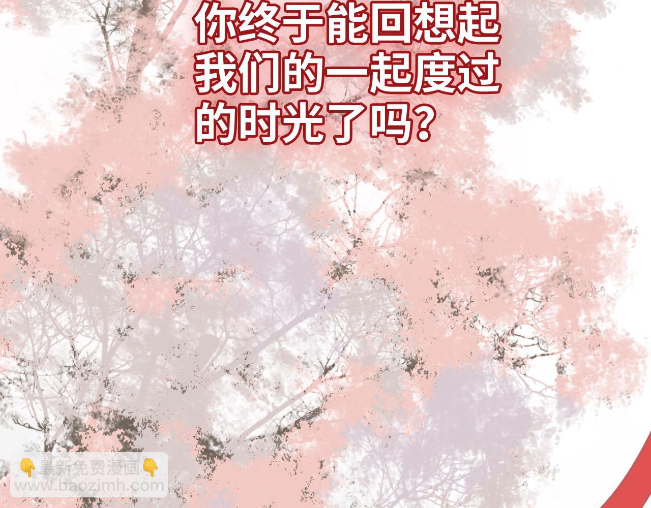 🍱闪婚总裁契约妻 第392话 恢复记忆前的旅行 第40页