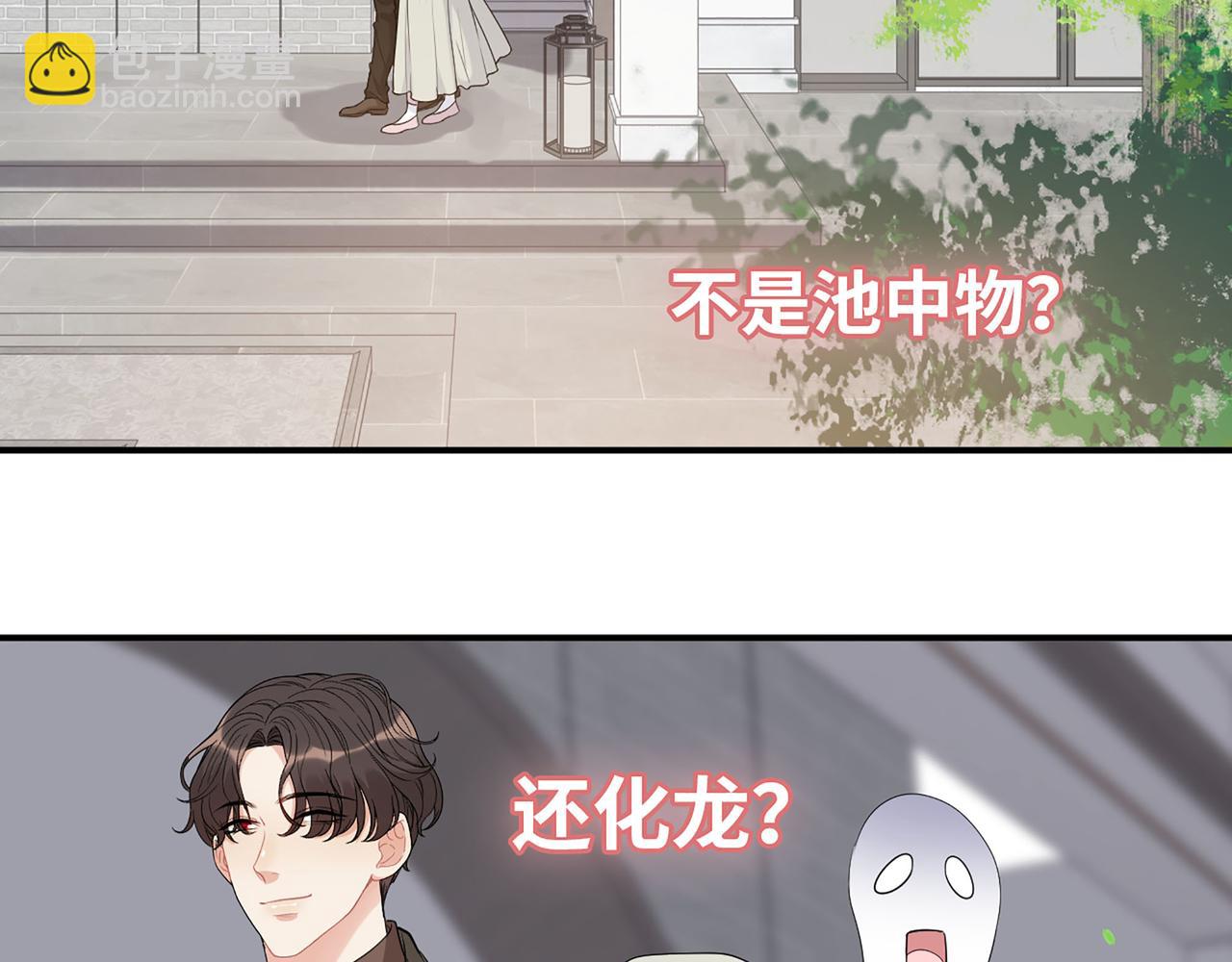 🍱闪婚总裁契约妻 第504话 才不要嫁给他！ 第49页