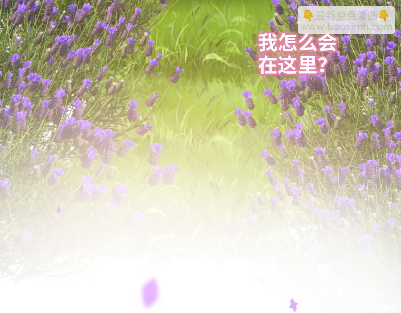 🍱闪婚总裁契约妻 第532话 尹家第一帅！ 第11页