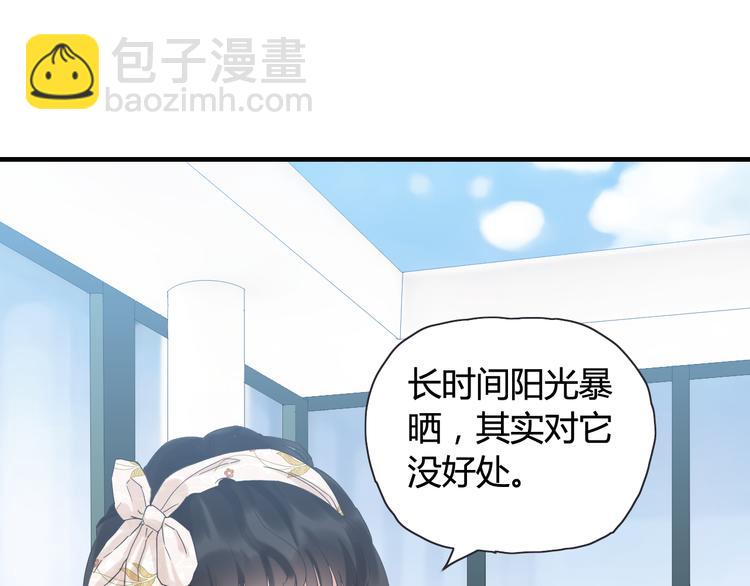 🍱闪婚总裁契约妻 第9话 回心转意 第13页