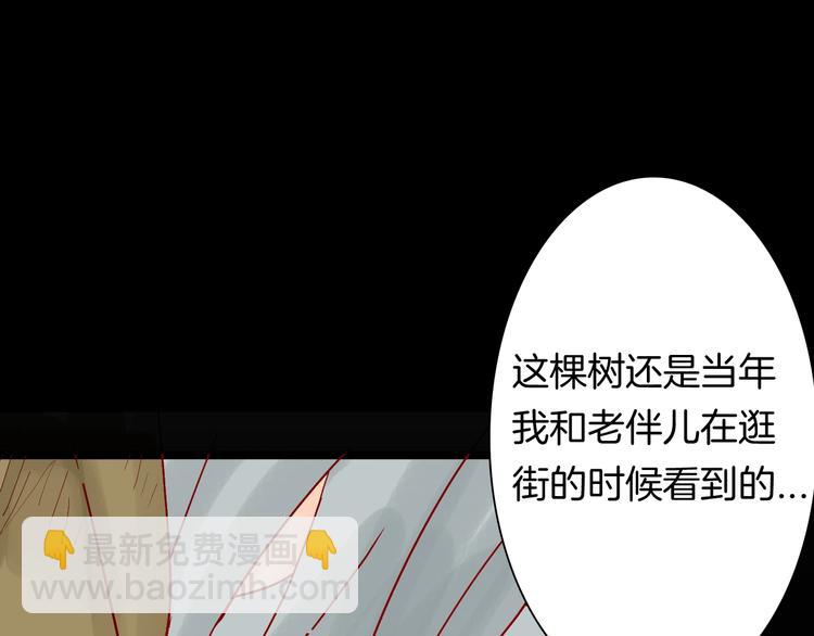 第122话 盆景艺术家（下）(1/4)-第124话