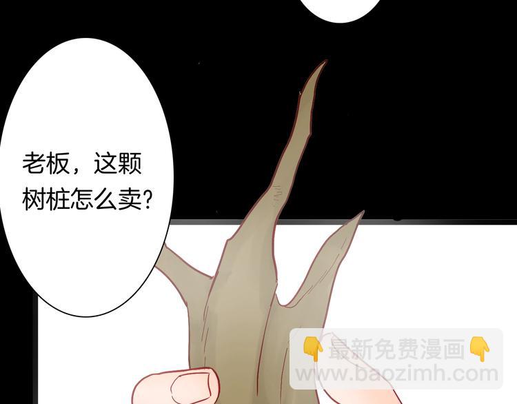 第122话 盆景艺术家（下）(1/4)-第124话