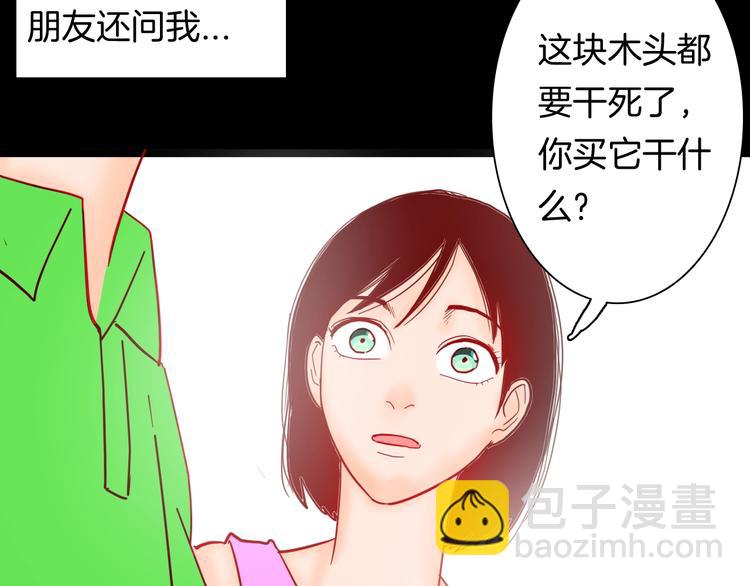 第122话 盆景艺术家（下）(1/4)-第124话
