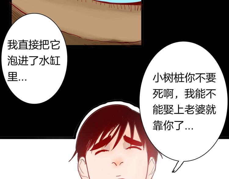 第122话 盆景艺术家（下）(1/4)-第124话