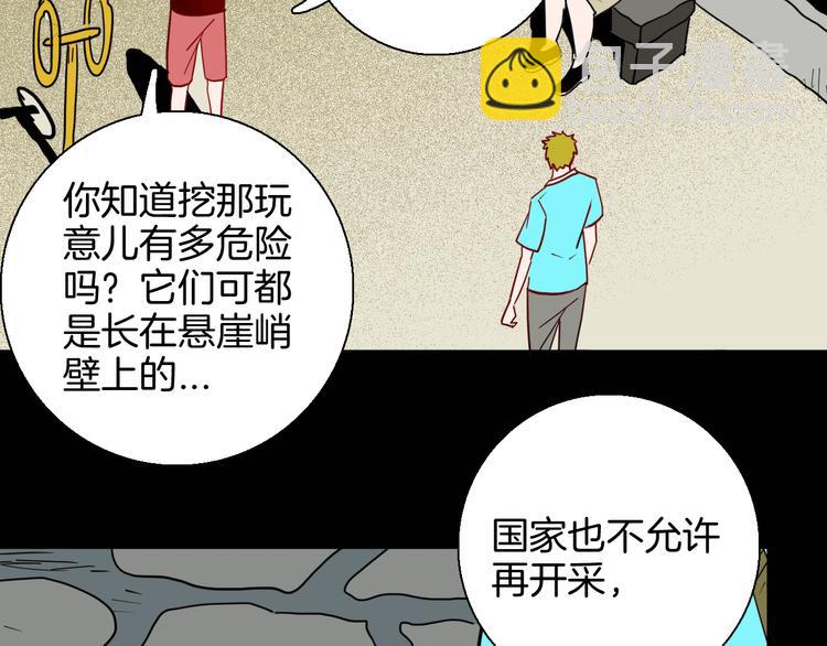 第146话 崖柏（上）(1/3)-第148话