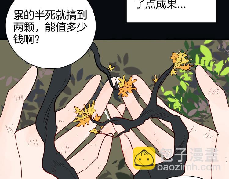 第146话 崖柏（上）(1/3)-第148话