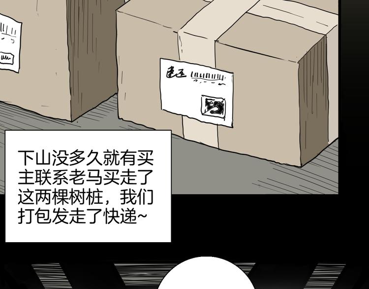 第146话 崖柏（上）(1/3)-第148话