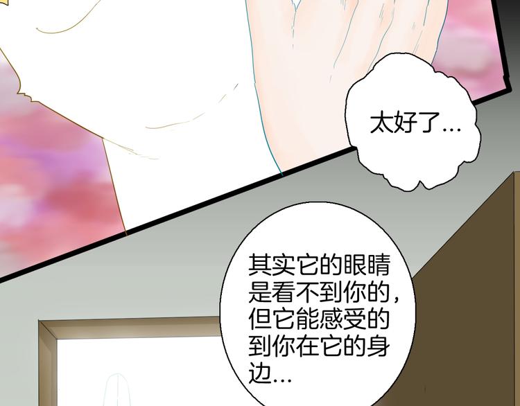 第164话 无常（二）(1/3)-第166话