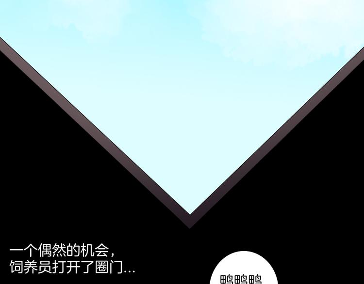 第170话 平凡鸭(1/3)-第172话
