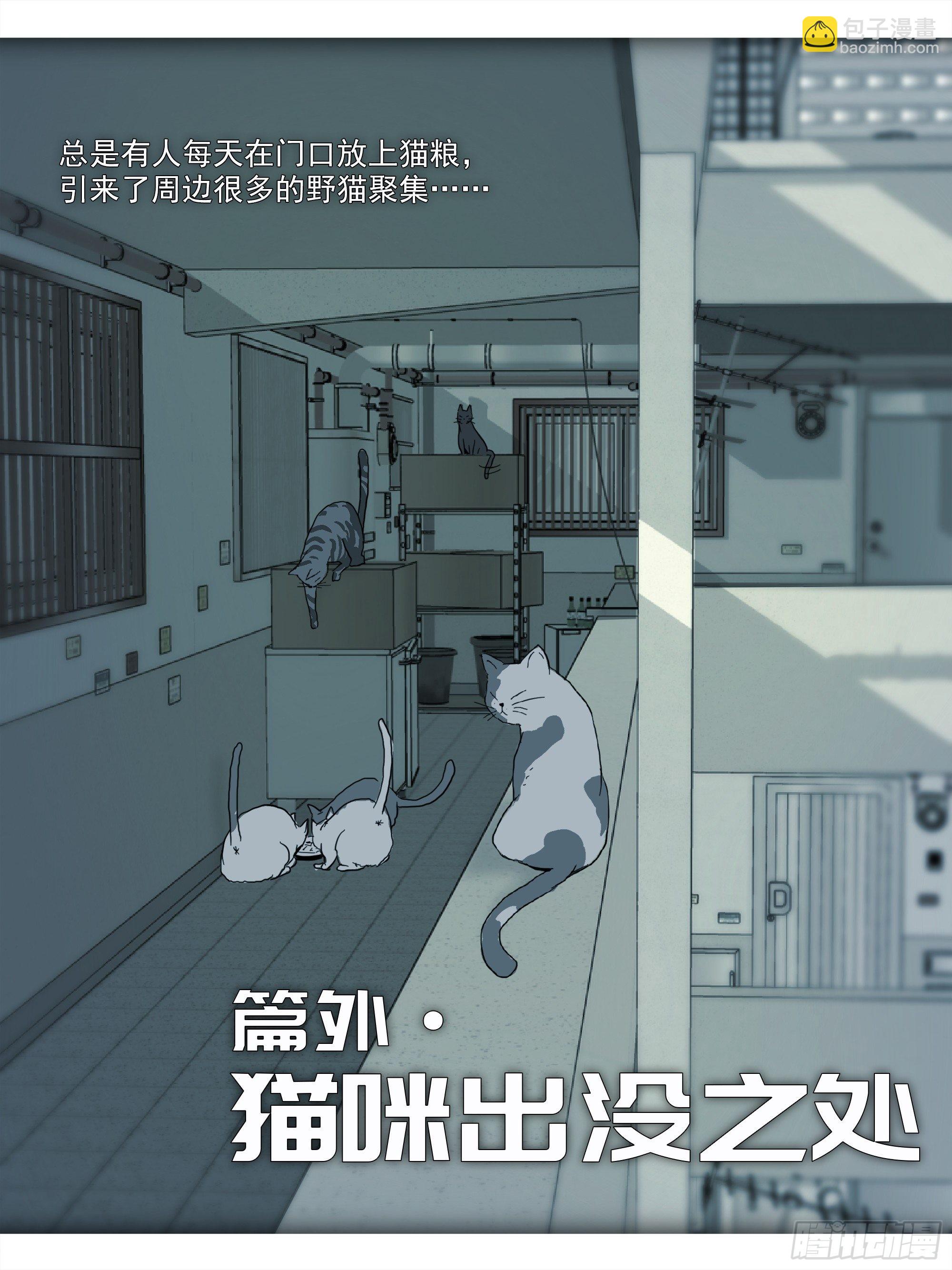 番外篇&middot;猫咪出没之处-第114话