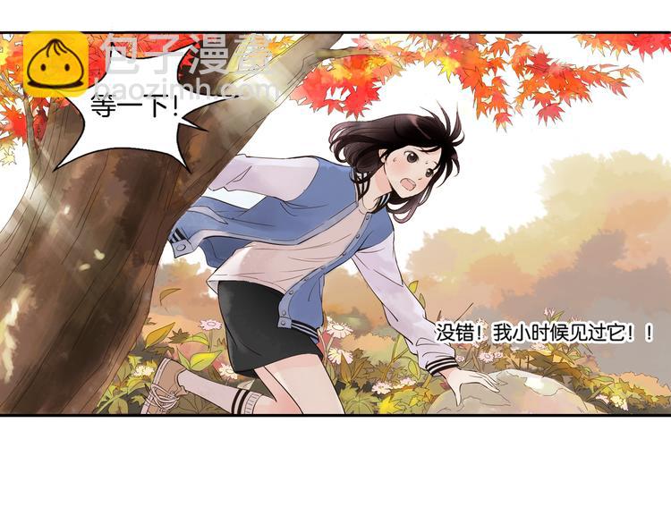 第3话 命运是不可预测的(1/2)-第4话