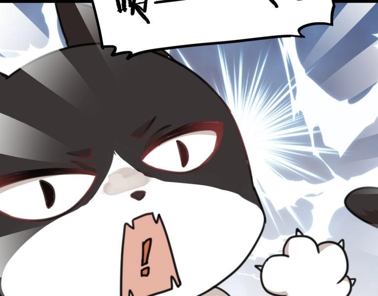 第7话 我变成猫了？(1/2)-第40话