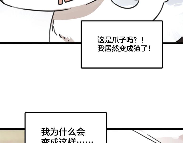 第7话 我变成猫了？(1/2)-第40话