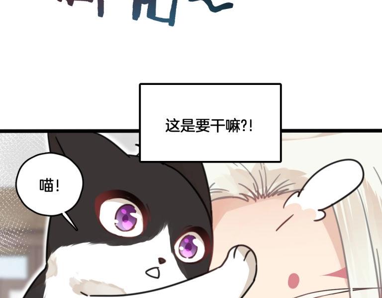 第7话 我变成猫了？(1/2)-第40话