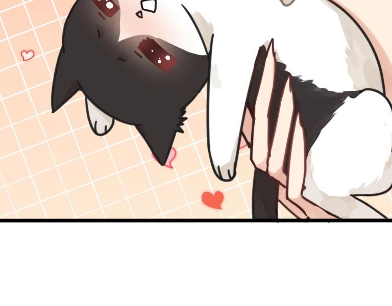 第7话 我变成猫了？(1/2)-第40话