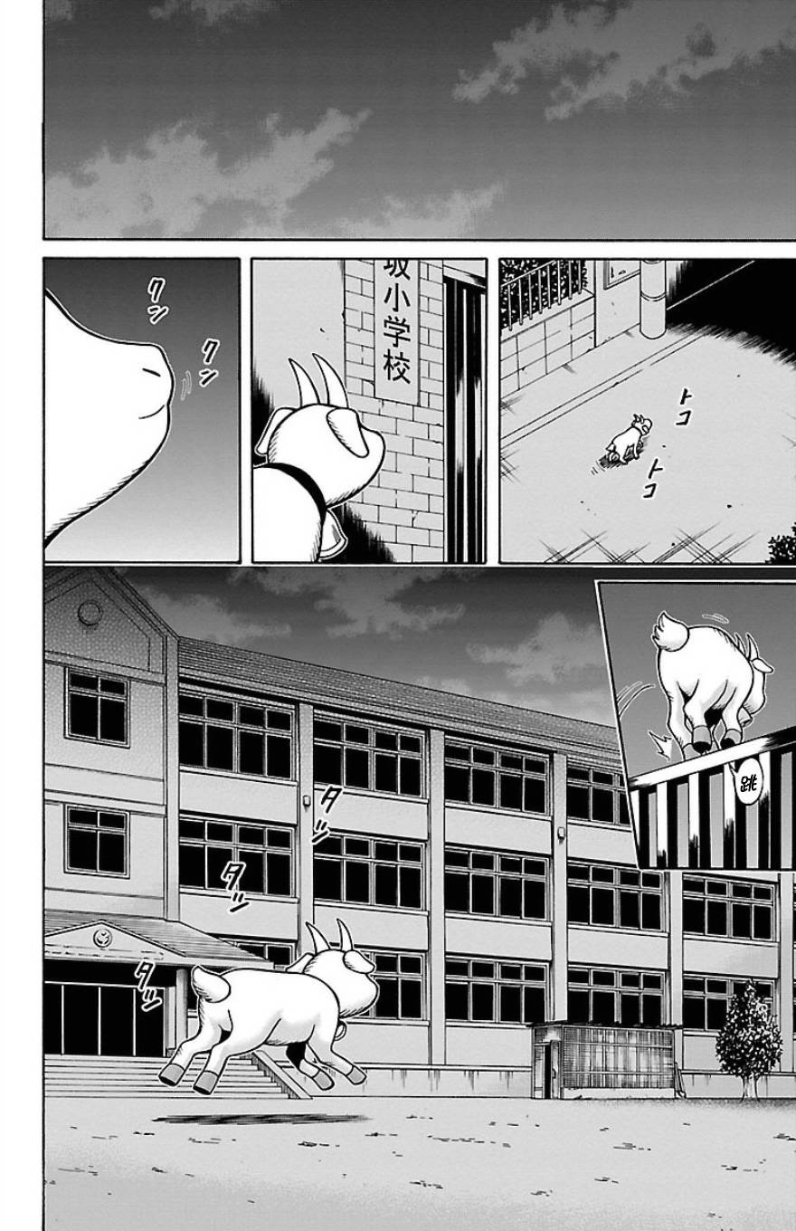 🍱少年Y 第24话 哈卡和努牙 第41页