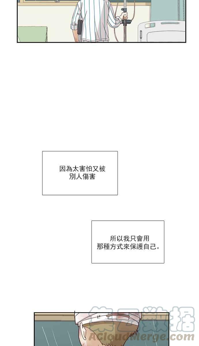 🍱少女的世界 [第155话] 柳絮 第41页