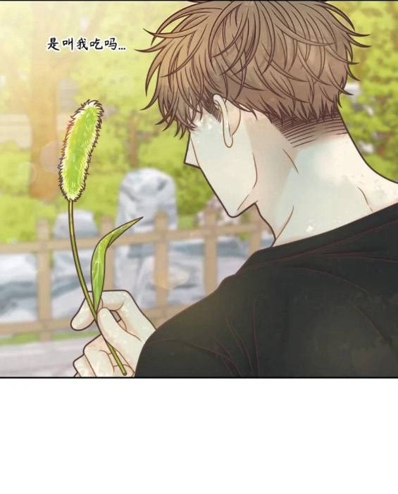 🍱少女的世界 第2季第152话 第20页