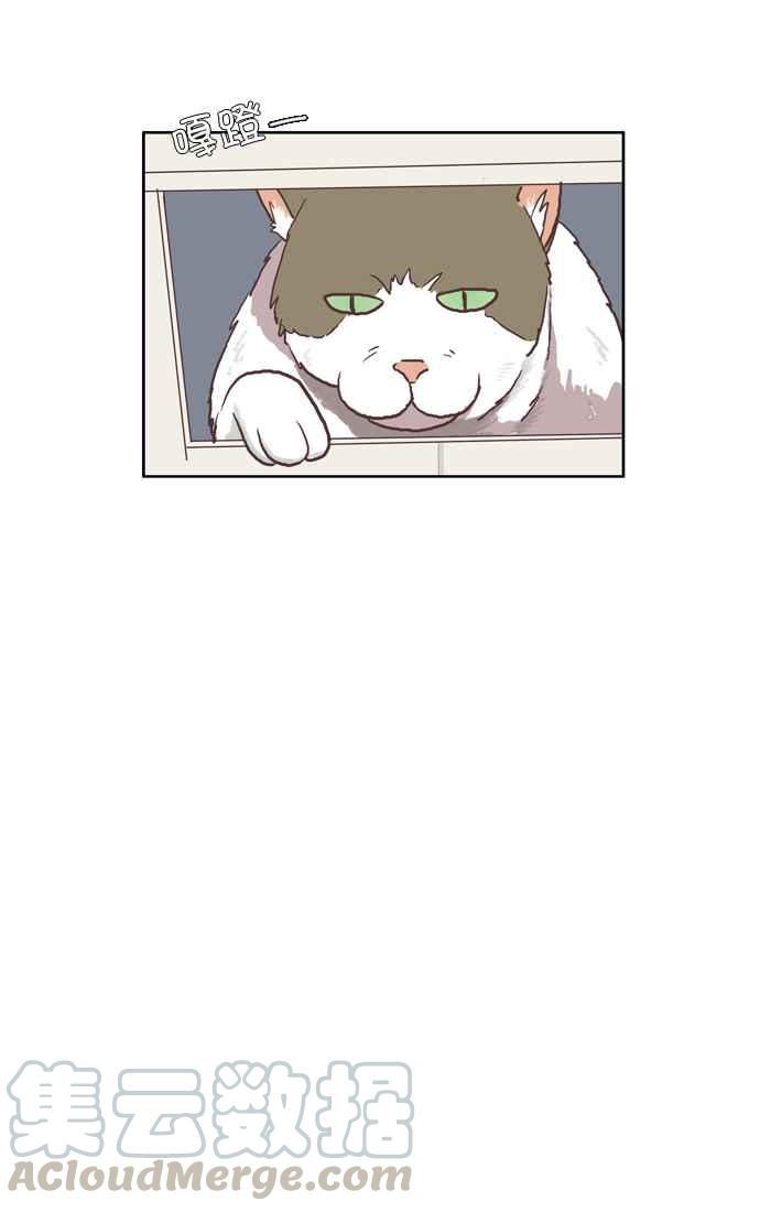 🍱少女的世界 [第46话] 因为害羞才那样 (下) 第10页