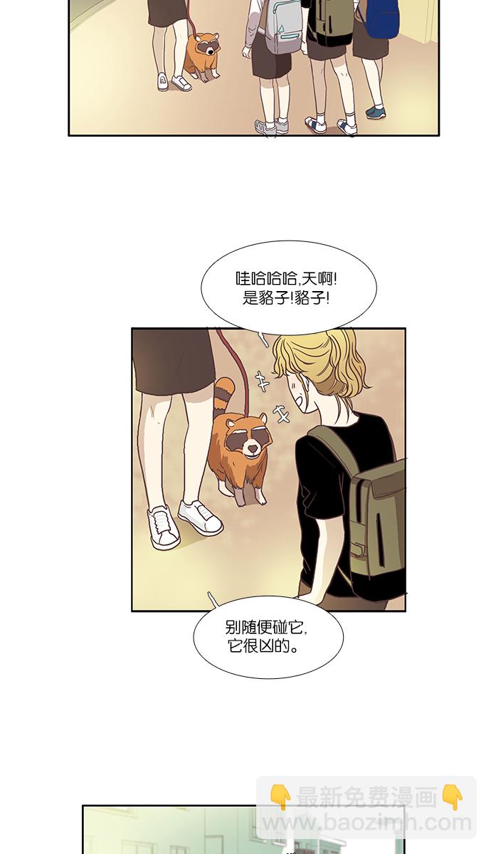 🍱少女的世界 [第60话] 随他去吧 （下） 第21页