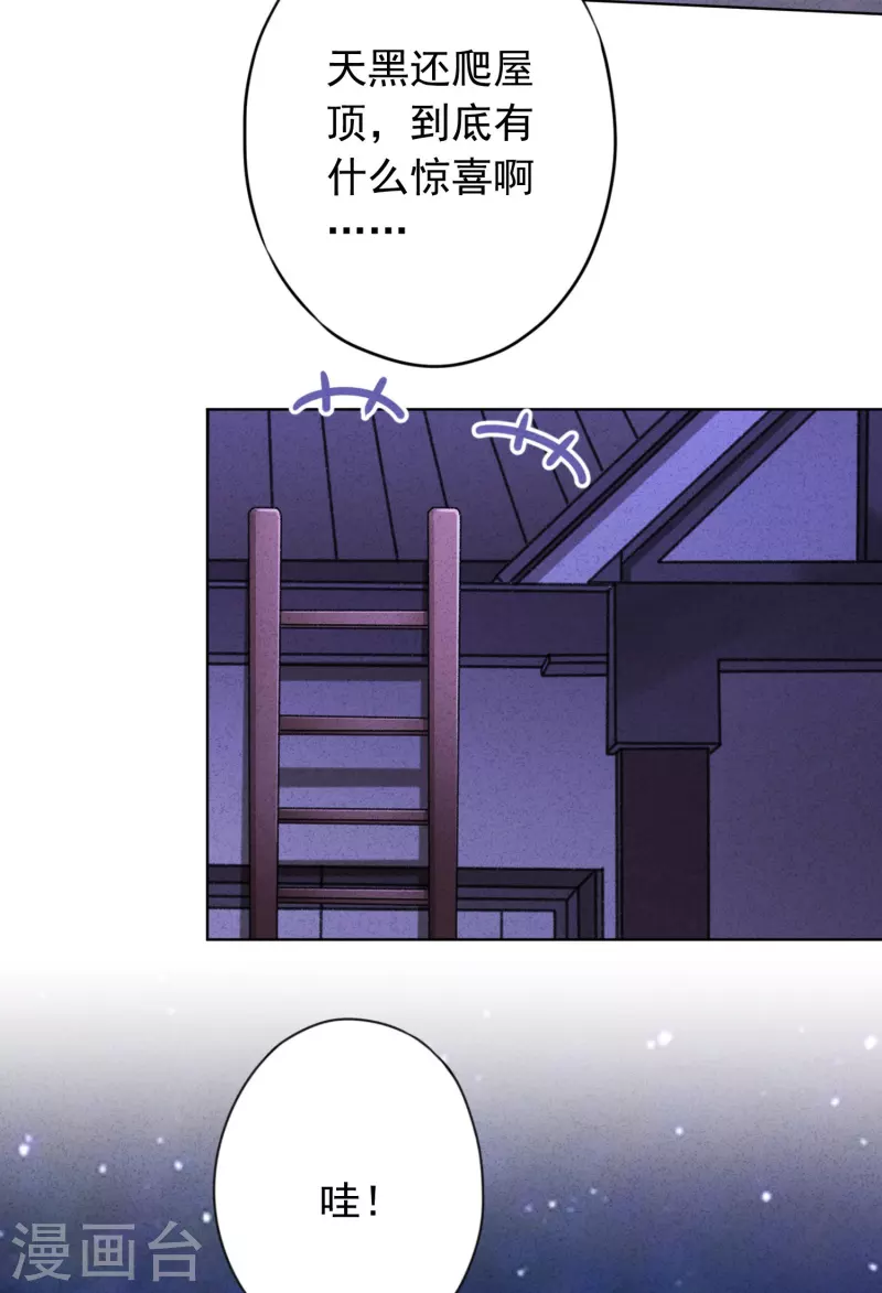 第169话 千金不换的宝贝-第176话