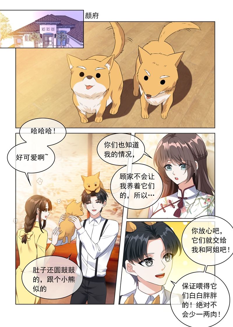 🍱少帅你老婆又跑了 第230话 婚事提前了？ 第1页