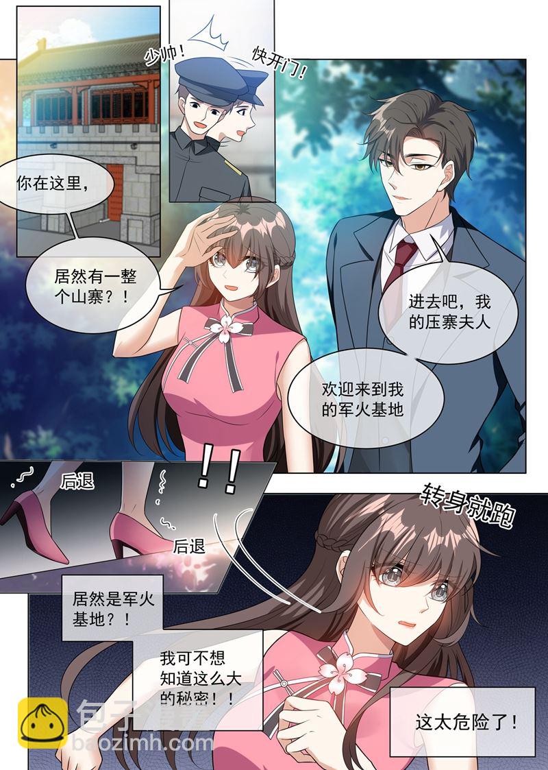 🍱少帅你老婆又跑了 第246话 他的军火基地？ 第8页