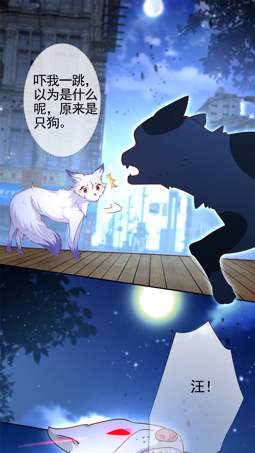 001 被小三打败的狐狸精-第2话