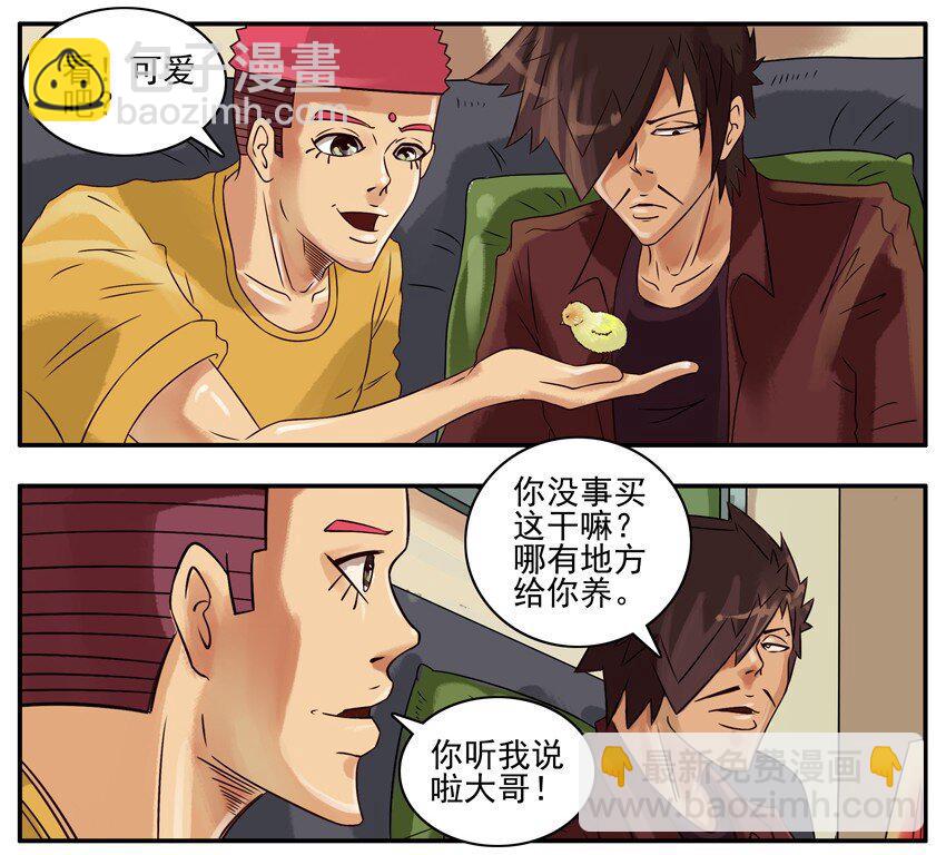 🍱殺手古德 311 小动物 第3页