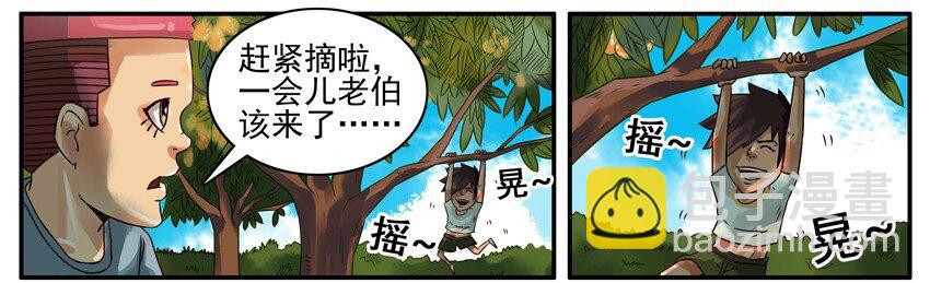 🍱殺手古德 374 摘枇杷 第4页