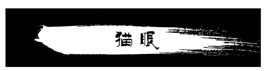🍱殺手古德 541 猫眼 第1页