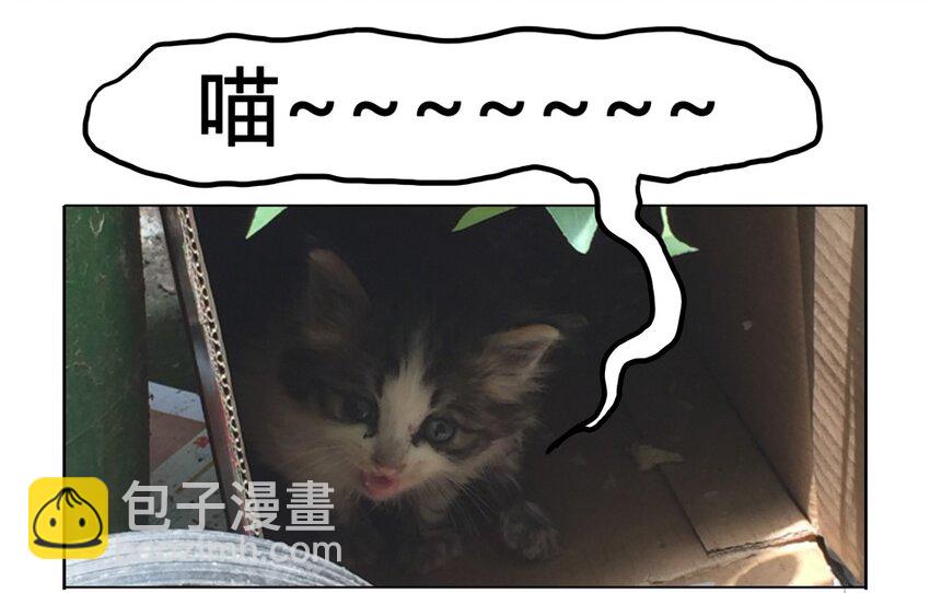 🍱殺手古德 900 九百话纪念 第10页