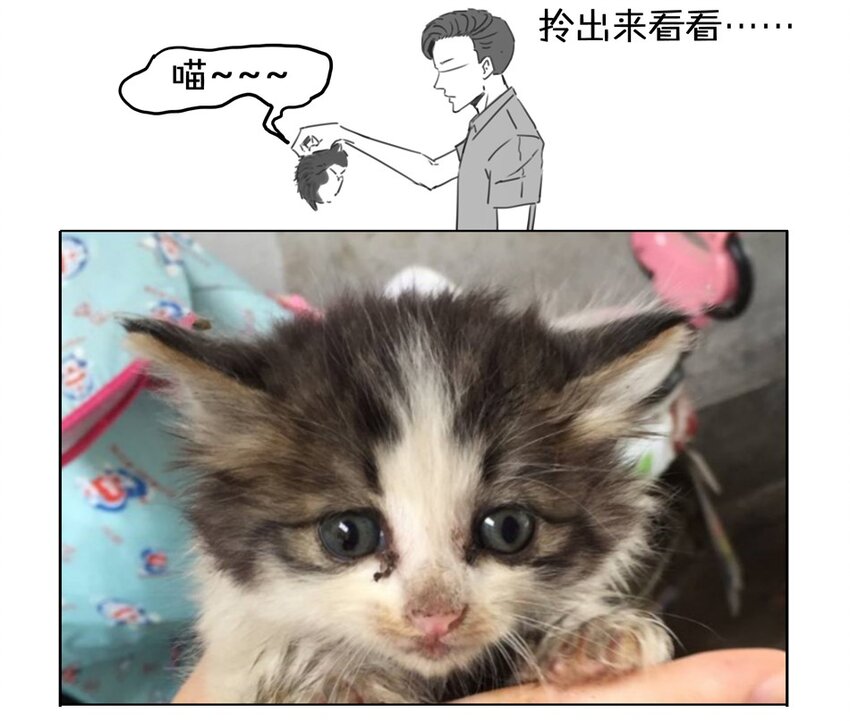 🍱殺手古德 900 九百话纪念 第12页
