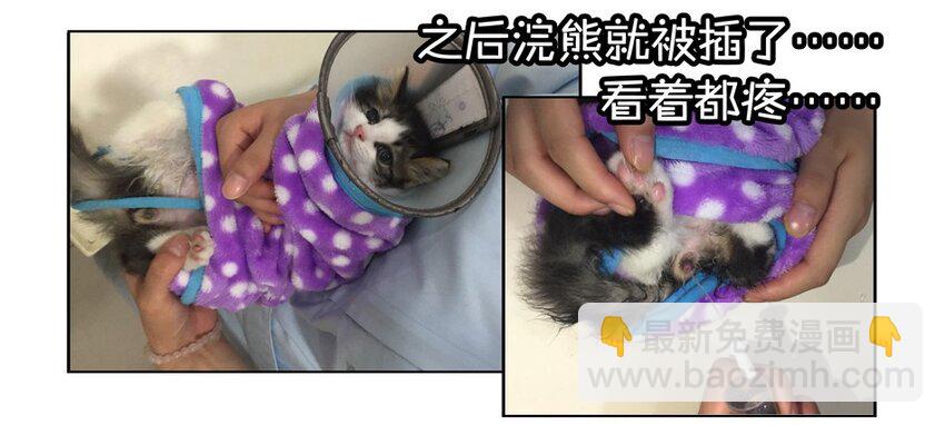 🍱殺手古德 900 九百话纪念 第31页