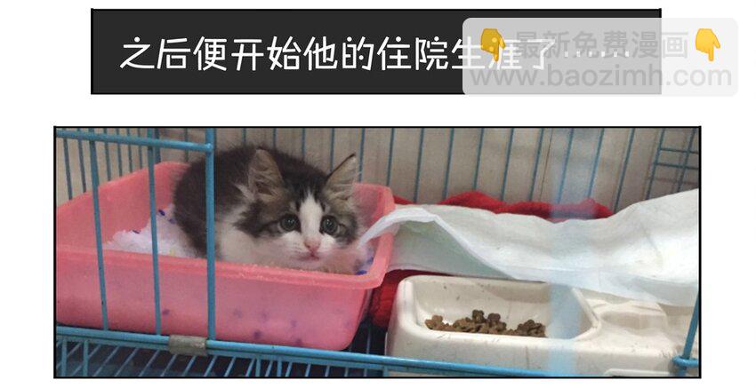 🍱殺手古德 900 九百话纪念 第33页